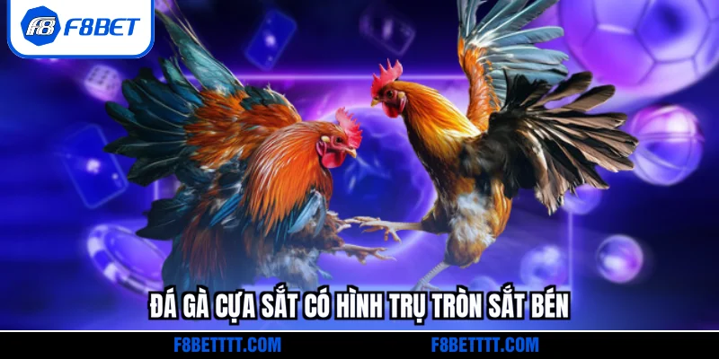 Đá gà cựa sắt có hình trụ tròn sắt bén