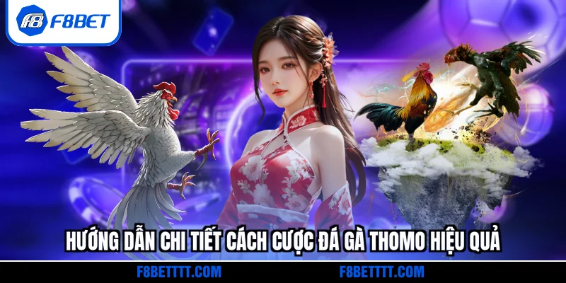 Hướng dẫn chi tiết cách cược Đá gà Thomo hiệu quả